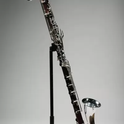 Clarinete Backun Q Bass