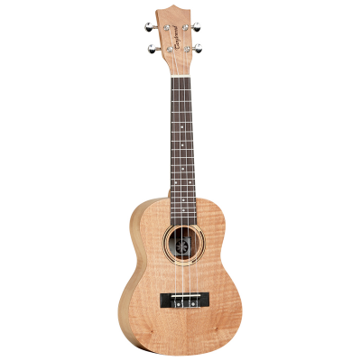 TANGLEWOOD TWT6