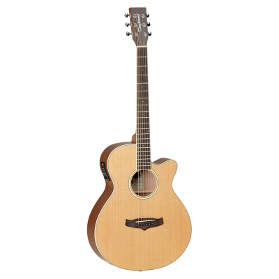 Tanglewood TW9 E