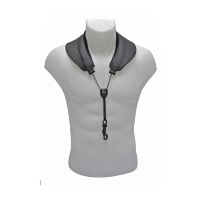 BG S70SH (ALTO / TENOR)