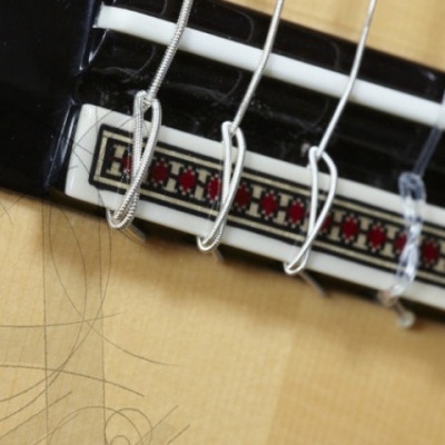 Alhambra Vilaplana Flamenca