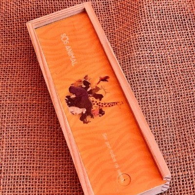 Dominó da Bicharada