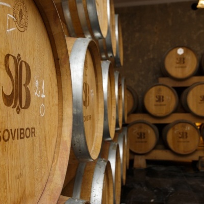 Visita com Prova 3 Vinhos