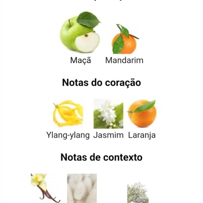 Notas olfativas de perfume com imagens de maçã, mandarim, ylang-ylang, jasmim, laranja, baunilha, almíscar e musgo de carvalho.