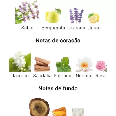 Notas olfativas principais, de coração e de fundo com imagens e nomes de plantas e substâncias