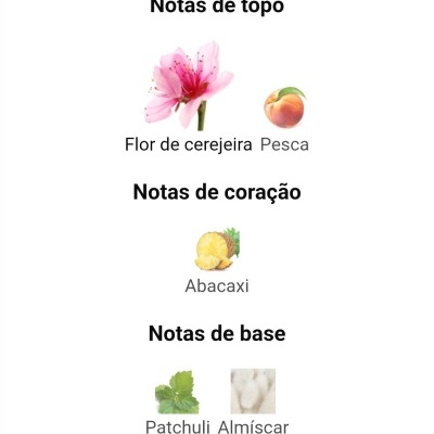 Le Chameau - Burj Dubai