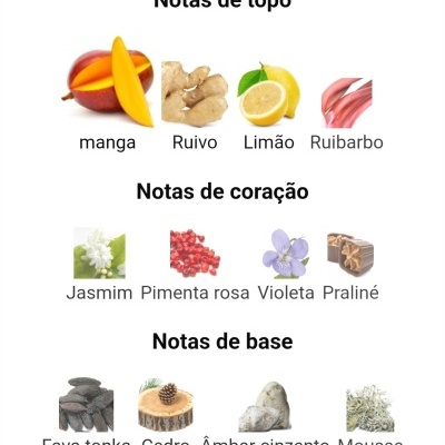 Ingredientes para fragrância organizados em três categorias: topo, coração e base, com imagens e textos em português.