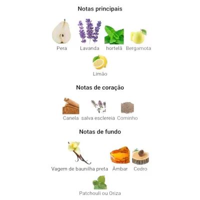 Notas olfativas principais, de coração e de fundo com imagens de frutas, plantas e especiarias.