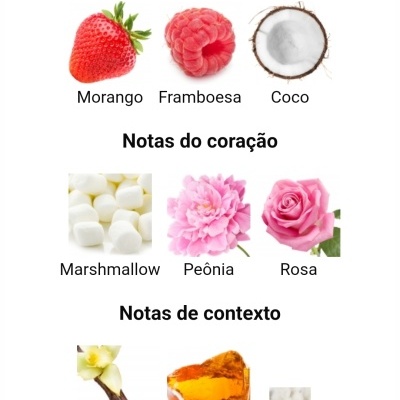 Notas principais, do coração e de contexto em imagens de ingredientes naturais para perfumes