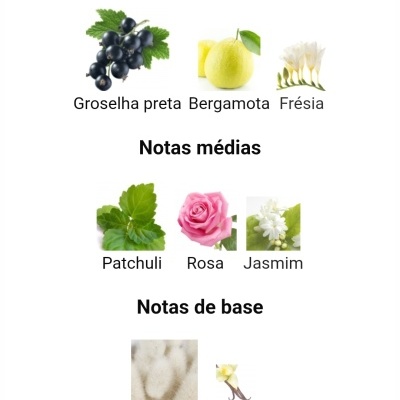 Ingredientes de fragrância com fotos e texto em português.