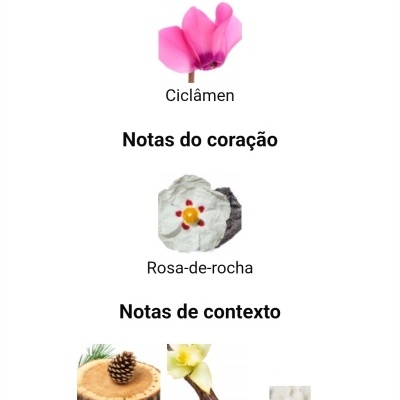 Notas olfativas divididas em principais, coração e contexto com imagens de flores e elementos naturais.