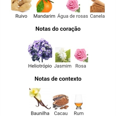 Infográfico com notas olfativas principais, de coração e de contexto com imagens de ingredientes e texto em português.