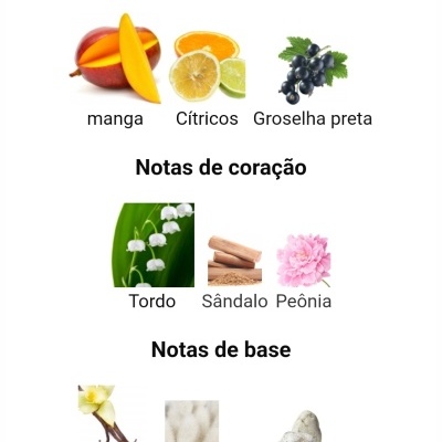 Gulf Orchid - Mangotini