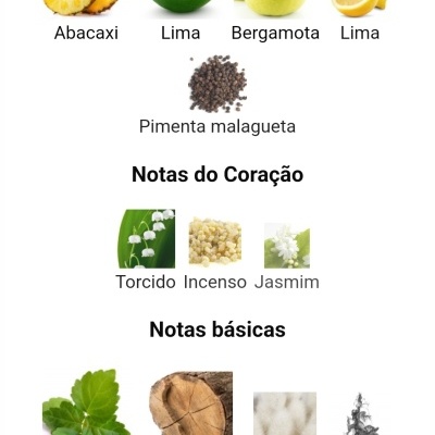 Lattafa - Niche Emarati Al Dana