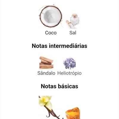 Notas principais, intermédias e básicas representadas por imagens de coco, sal, sândalo, heliotrópio, baunilha e âmbar.