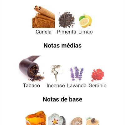 Armaf - Radical brown