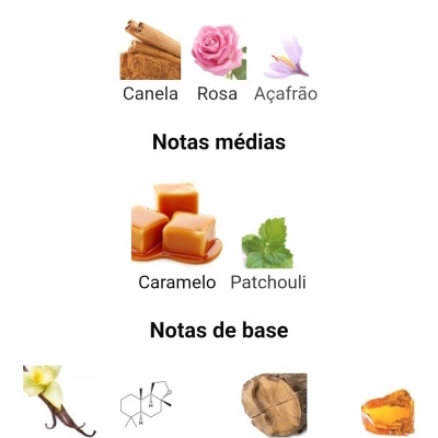 Notas de perfume em português com imagens de canela, rosa, açafrão, caramelo, patchouli, baunilha, estrutura química, madeira e âmbar.