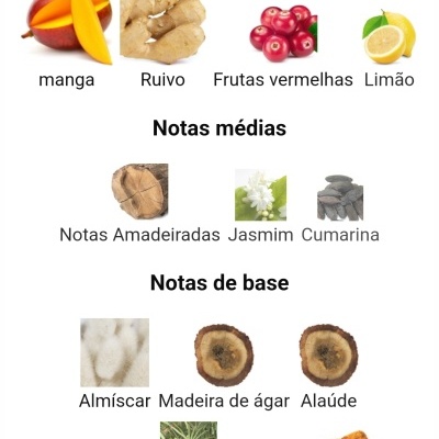 Paris Corner - Ophidian Mango Bliss