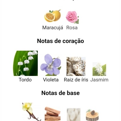 Paris Corner - Fayora