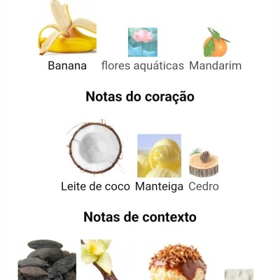 Notas principais, notas do coração e notas de contexto de perfume com imagens de frutas, flores, madeira e especiarias.