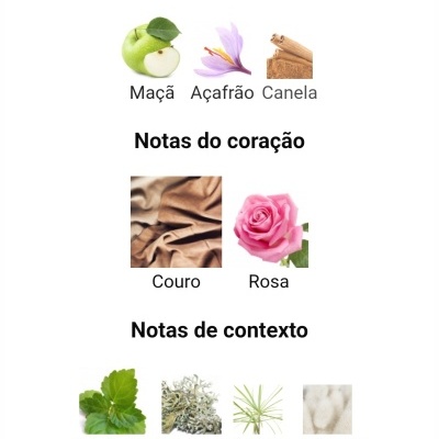 Ingredientes de perfume organizados em três categorias com imagens correspondentes