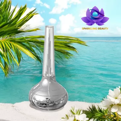 Le Chameau - Burj Dubai