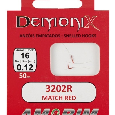 ANZOIS DEMONIX AMORIM