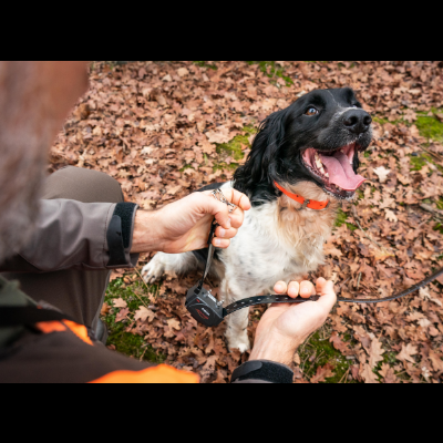 EDUCATION CANICOM 300+