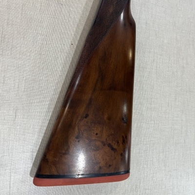 LUIGI FRANCHI  ALBATROZ