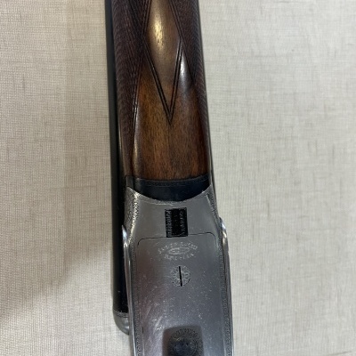 LUIGI FRANCHI  ALBATROZ