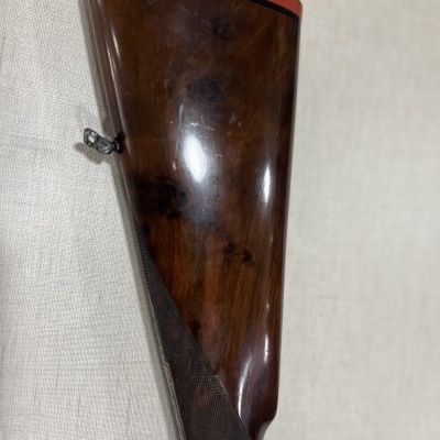 DESENZANI LUXO *VENDIDA