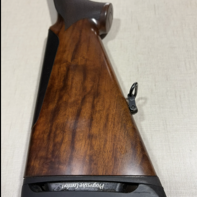 BENELLI ETHOS SPORT *VENDIDA