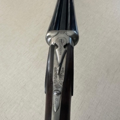 RENATO GAMBA  OXFORD