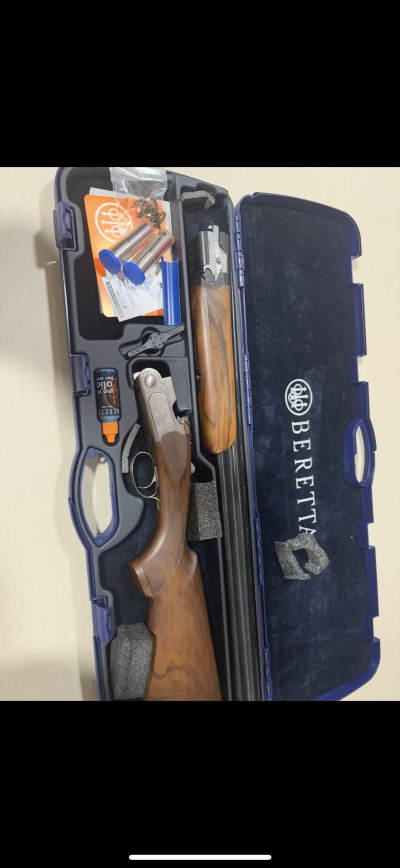 Estojo azul com espingarda Beretta e acessórios