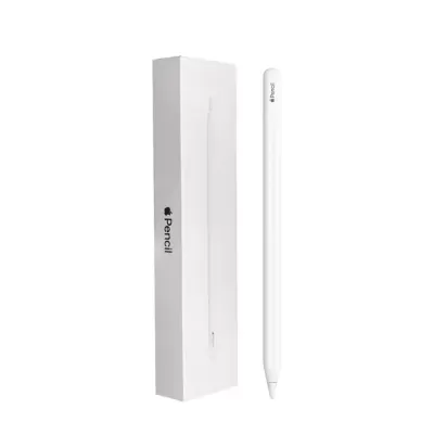 Usado Apple Pencil 2ªGeração