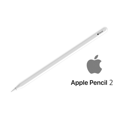 Usado Apple Pencil 2ªGeração