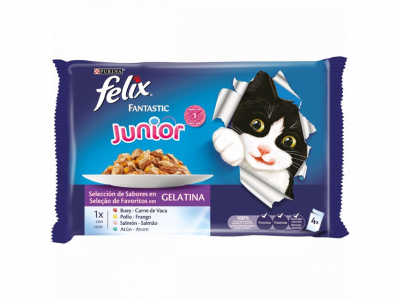 ALIMENTO GATO SECO FÉLIX JÚNIOR 100 GR