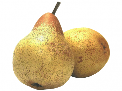 Duas peras amarelas com manchas castanhas sobre fundo branco