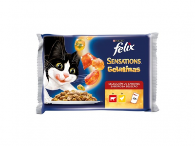 ALIMENTO GATO SECO FÉLIX SENSATIONS CARNE 100 GR