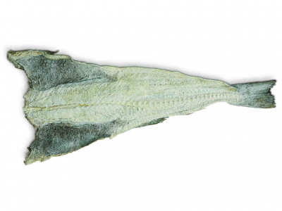 Peixe seco aberto com textura rugosa em tons verde acinzentado e bege