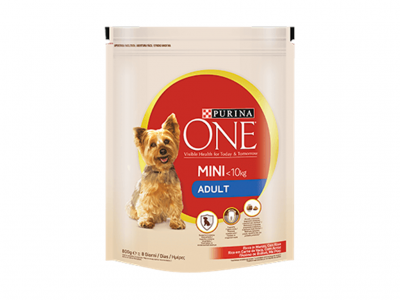 ALIMENTO CÃO SECO ONE MINI ADULTO FRANGO/ARROZ 800 GR