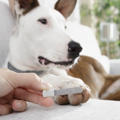 Corta-unhas com LED para Animais de Estimação Clipet InnovaGoods