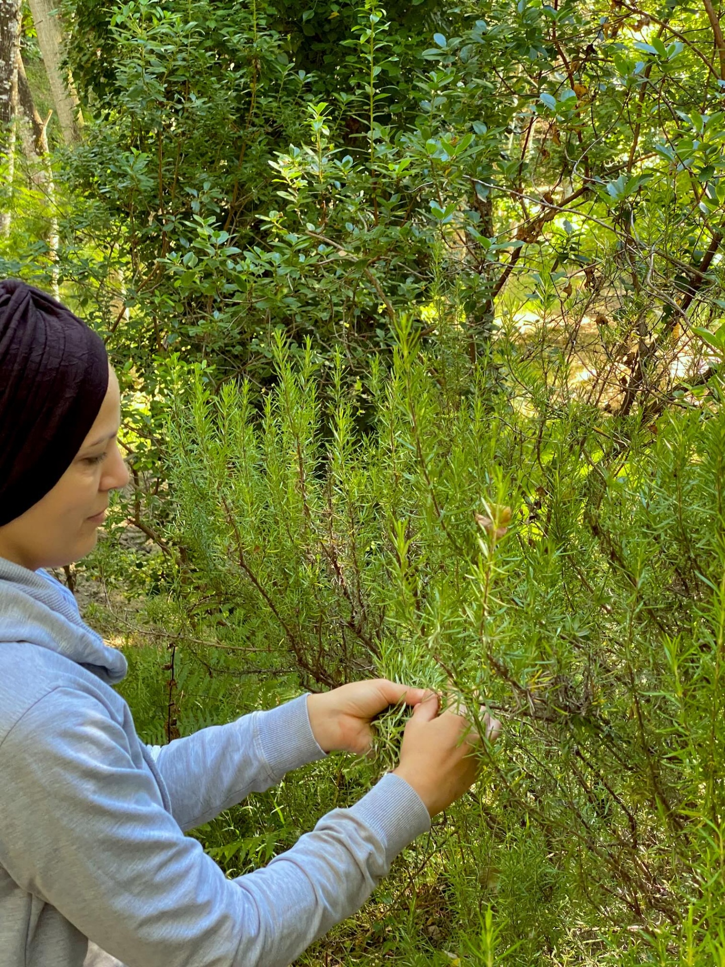 O Presente de Natal Perfeito: Porque Oferecer Chá e Infusões é a Melhor Ideia