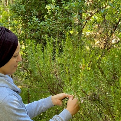 O Presente de Natal Perfeito: Porque Oferecer Chá e Infusões é a Melhor Ideia