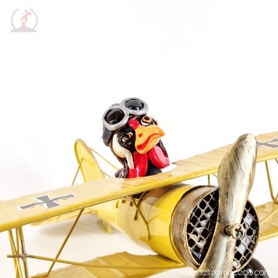 Galo Artesanal na Avioneta