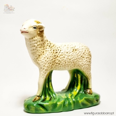 Caneiro e Ovelha Gigante