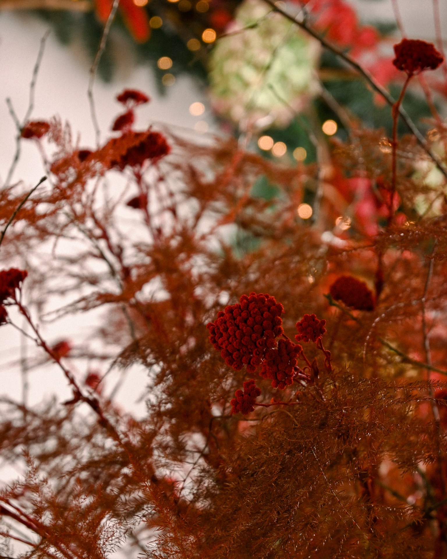 Arranjo Ref.006 Arranjo Ref.006