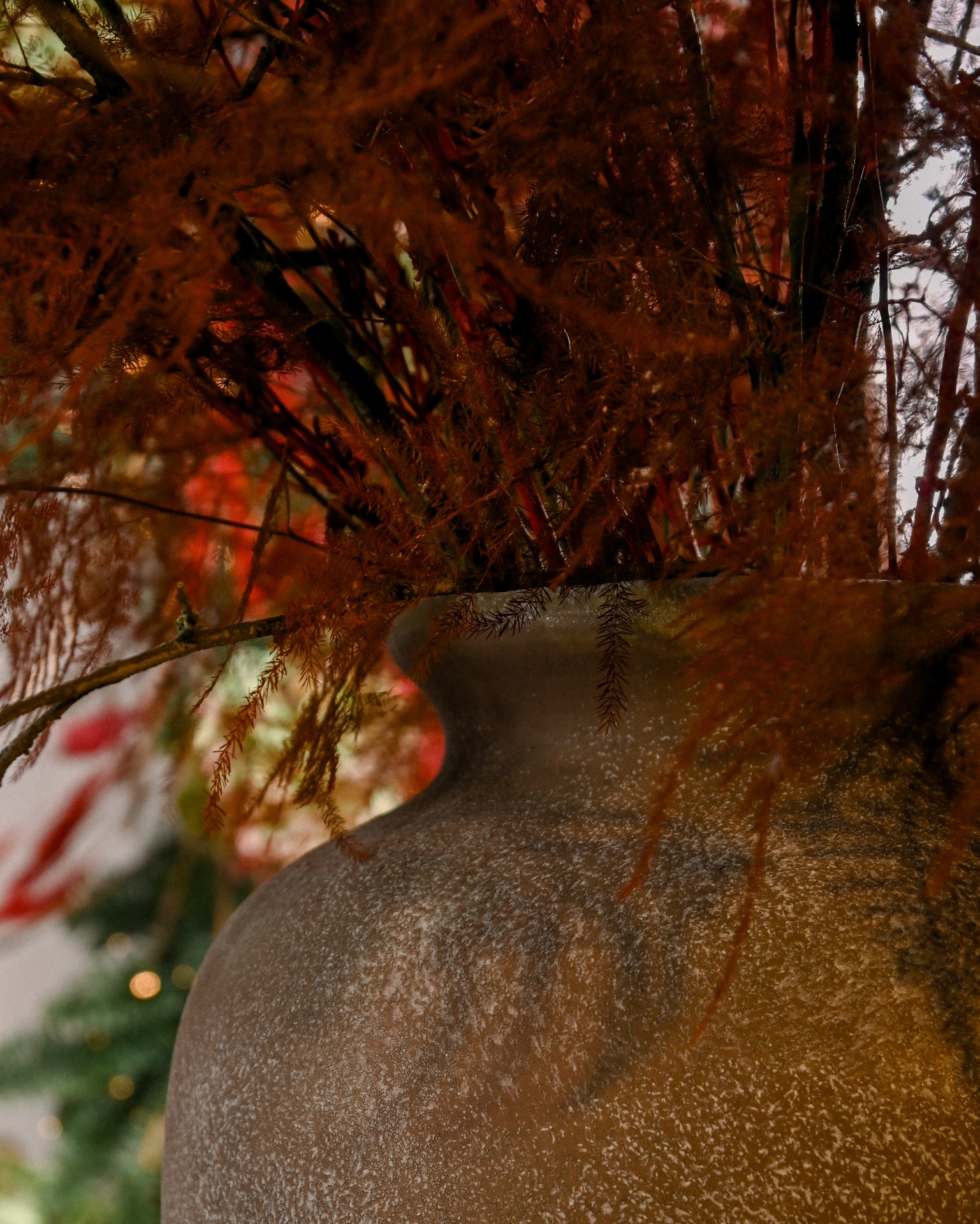 Arranjo Ref.006 Arranjo Ref.006