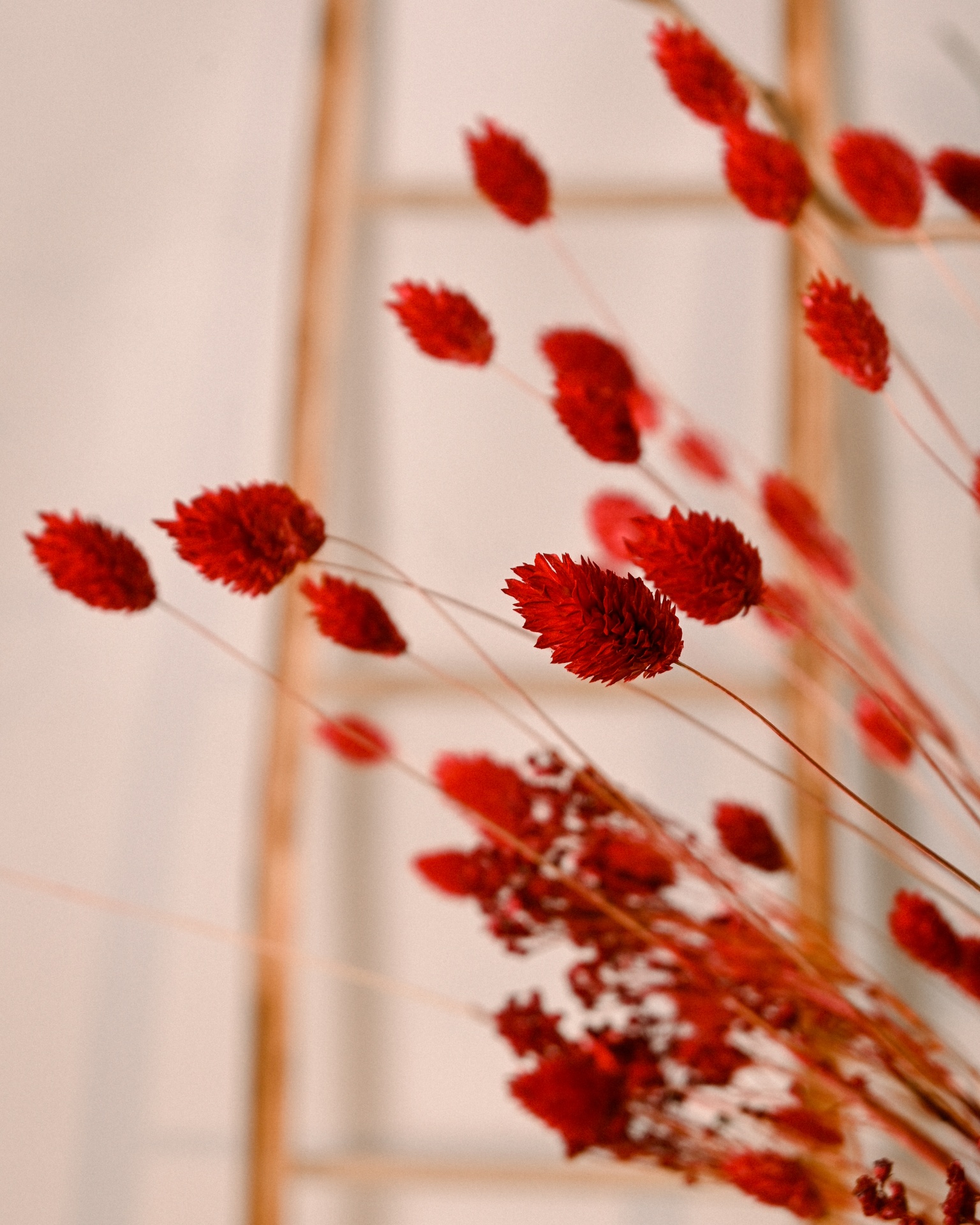 Arranjo Ref.007 Arranjo Ref.007