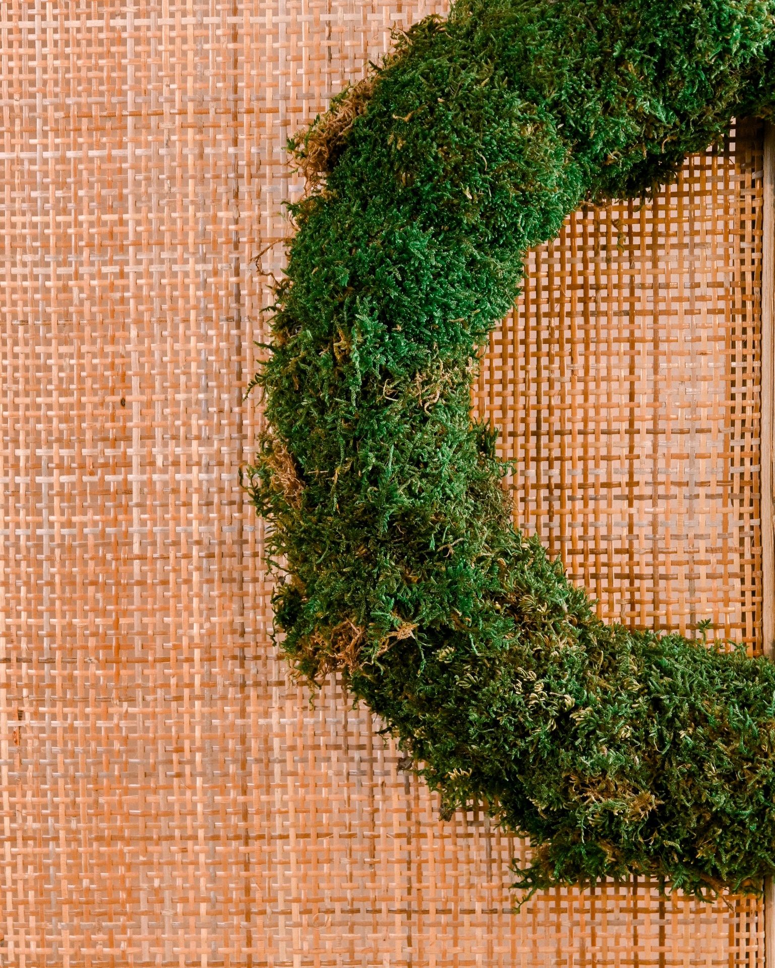 Coroa Ref.007 Coroa Ref.007